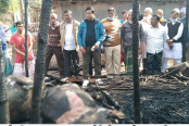 গরু-ছাগলের সাথে শত্রুতা, আগুনে পুড়িয়ে হত্যা!
