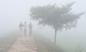 সারাদেশে শীত কমবে, বাড়বে রাতের তাপমাত্রা
