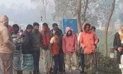 বাসের ধাক্কায় চাচা-ভাতিজা নিহত
