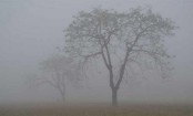শৈত্যপ্রবাহ শুরু
