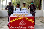 নাফ নদীর জালিয়াদ্বীপ থেকে ৯০ হাজার ইয়াবাসহ আটক ২
