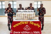 টেকনাফে বিজিবি-মাদক পাচারকারীদের গোলাগুলি, ৫ বস্তা ইয়াবা উদ্ধার
