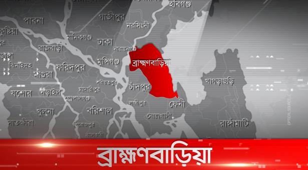 বিদ্যুৎস্পৃষ্ট হয়ে চাচা-ভাতিজার মৃত্যু
