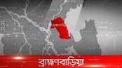 বিদ্যুৎস্পৃষ্ট হয়ে চাচা-ভাতিজার মৃত্যু
