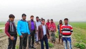 নেত্রকোনার খালিয়াজুরীতে পরিত্যক্ত ৯৭০ হেক্টর জমি রবিচাষের আওতায়