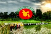 মজুত প্রবণতার কারণে চালের অস্বাভাবিক দাম: বিএআরসি
