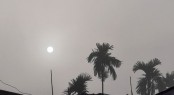 শ্রীমঙ্গলে দেশের সর্বনিম্ন তাপমাত্রা, বইছে মৃদু শৈত্যপ্রবাহ