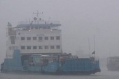 পাটুরিয়া-দৌলতদিয়ায় ফেরি চলাচল শুরু
