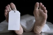 রাজধানীতে মহিষের গুতোয় বৃদ্ধের মৃত্যু
