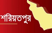 নাগেরপাড়ায় মাকে কুপিয়ে হত্যা করল ছেলে
