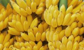 কলার বক্সে ২ হাজার কোটি টাকার কোকেন
