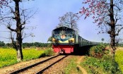 ঢাকা-শিলিগুড়ি রেল: নতুন সংযোগে ভারতীয়দের কী লাভ

