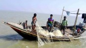 চাঁদপুরের পদ্মা-মেঘনায় ২ মাস মাছ ধরায় নিষেধাজ্ঞা
