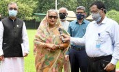 'যার যেখানে যতটুকু জায়গা আছে গাছ লাগান'