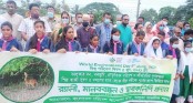 ভালুকায় পরিবেশ দিবসে বাপা’র র‌্যালি ও মানববন্ধন