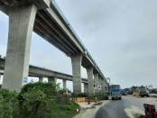 বাড়ির আঙ্গিনায় গাঁজা চাষ, আটক ১