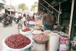 টাঙ্গাইলে রাস্তা দখল করে ব্যবসা, ভোগান্তি চরমে
