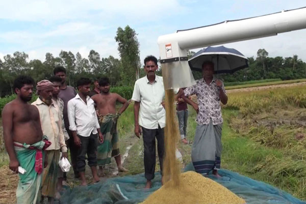 মানিকগঞ্জে হারভেস্টার যন্ত্রে লাভবান কৃষক