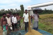 মানিকগঞ্জে হারভেস্টার যন্ত্রে লাভবান কৃষক