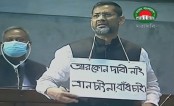 গলায় প্ল্যাকার্ড ঝুলিয়ে সংসদে সাংসদ
