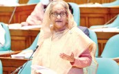দেশের উন্নয়নে যেন কোনোভাবেই সুন্দরবন ক্ষতিগ্রস্ত না হয়: প্রধানমন্ত্রী