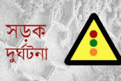 জীবননগরে সড়ক দুর্ঘটনায় একজন নিহত