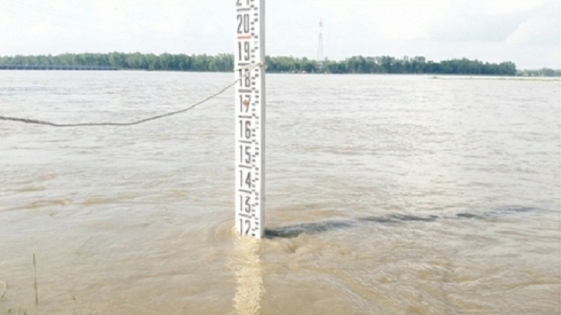 তিস্তার পানি বাড়ায় ভাঙন আতঙ্কে চরাঞ্চলবাসী