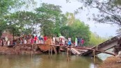 সেতু ভাঙনে বিচ্ছিন্ন যোগাযোগ, পাশেই বানানো হচ্ছে বেইলি ব্রিজ
