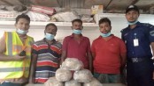 প্রায় ৬ কেজি গাঁজা সহ ৩ মাদক ব্যবসায়ী আটক