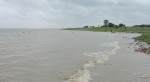 মেঘনায় আলুবোঝাই ট্রলার ডুবি