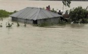 জুলাইয়ে বন্যার আশঙ্কা, পূর্বাভাসে আরও যা জানা গেল
