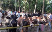 চাহিদার চেয়ে ৯ লাখ বেশি তবু বাড়বে দাম!