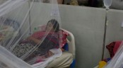 করোনার ঊর্ধ্বমুখীর মধ্যেই বাড়ছে ডেঙ্গুর প্রকোপ