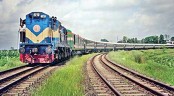 ঢাকায় কোরবানির পশু আনতে চালু হচ্ছে ট্রেন