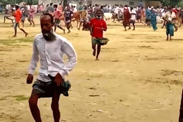 নওগাঁয় পশুর হাট পণ্ড, গরু-ছাগল নিয়ে পালালেন বিক্রেতারা