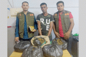 পাঁচ কেজি গাঁজাসহ বিশ্বনাথ থানার পরিচ্ছন্নতা কর্মী গ্রেফতার