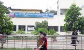 কুষ্টিয়ায় প্রাণ গেলো আরো ১৭ জনের