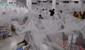 ২৪ ঘণ্টায় ৭০ ডেঙ্গু রোগী হাসপাতালে ভর্তি