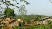 ঘাটাইলে পাহাড়ী এলাকায় ঘরে ঘরে জ্বরের রোগী
