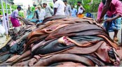 কোরবানির পশুর চামড়ার দাম নির্ধারণ