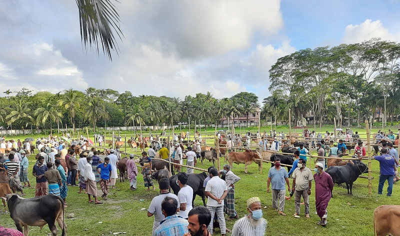 বরগুনা পশুরহাটে কেউ মানছে না স্বাস্থ্যবিধি