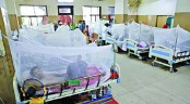 দেশে একদিনে ডেঙ্গুতে ৮১ জনের মৃত্যু