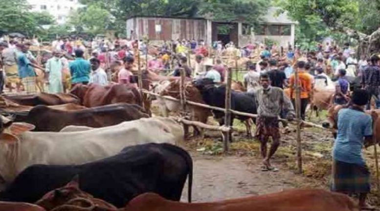 বি.বাড়িয়ায় গরু রাখার জায়গা নিয়ে দুই পক্ষের তুমুল সংঘর্ষ, নিহত ১