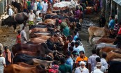 গাবতলী হাটের ১০ লাখ টাকা জরিমানা