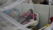একদিনে রেকর্ড ডেঙ্গু রোগী হাসপাতালে ভর্তি
