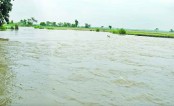আগামী পাঁচ দিন টানা বৃষ্টি, উত্তরে বন্যার আশঙ্কা
