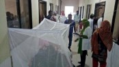 দেশে ২৪ ঘন্টায় ২৪২ ডেঙ্গু রোগী হাসপাতালে ভর্তি