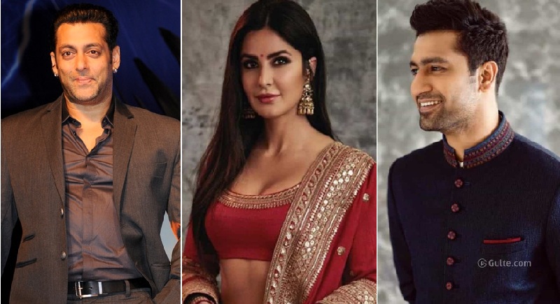 ভিকির সঙ্গে বিয়ের গুঞ্জন, ক্যাটরিনাকে নিয়ে উড়াল দিলেন সালমান