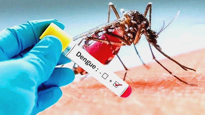 দেশে ২৪ ঘন্টায় ৩২১ ডেঙ্গু রোগী হাসপাতালে ভর্তি