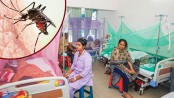 ২৪ ঘণ্টায় ডেঙ্গু আক্রান্ত হয়ে আরও ২৩২ জন হাসপাতালে